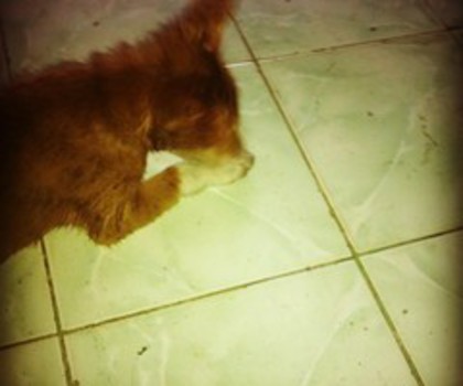 4bf9ad3c558311e2b42122000a9d0ed9_7_thumb