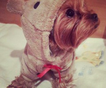 600e486a55dc11e2a7ab22000a1f97eb_7_thumb