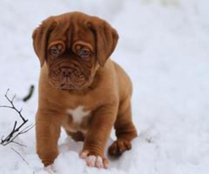 13800_452445858138353_1960145650_n_thumb