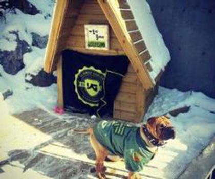 206820_194139444058835_1689739763_n_thumb