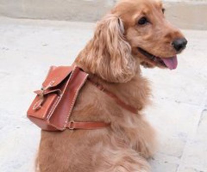 Personalized_20Leather_20Dog_20Backpack_thumb