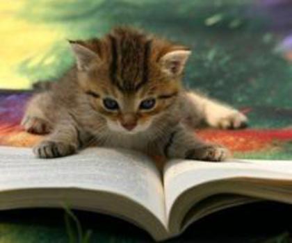 537972_398203930265251_1091425770_n_thumb