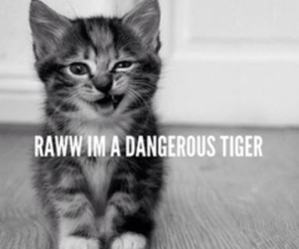 tumblr_me1n8szB7P1rl82duo1_500_large_thumb