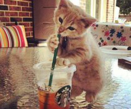 tumblr_mg6wm4Ou2n1r3o3z7o1_500_thumb