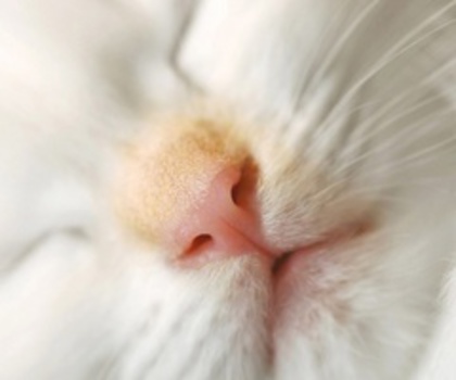 06_www.kepfeltoltes.hu__thumb