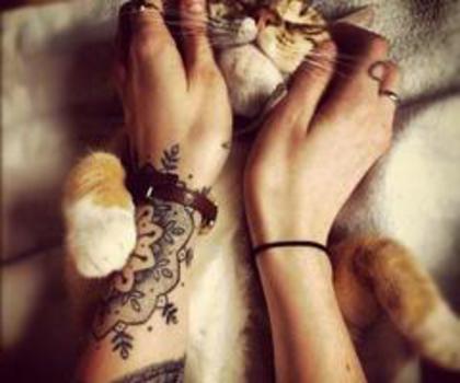 304673_515370131840584_893477448_n_thumb