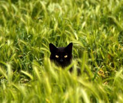 216172850834296824_6BkPGEJG_c_thumb