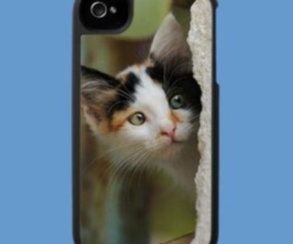 kitten_peering_from_behind_a_wall_with_prying_eyes_speckcase-p176845602919752223081uy_400_thumb