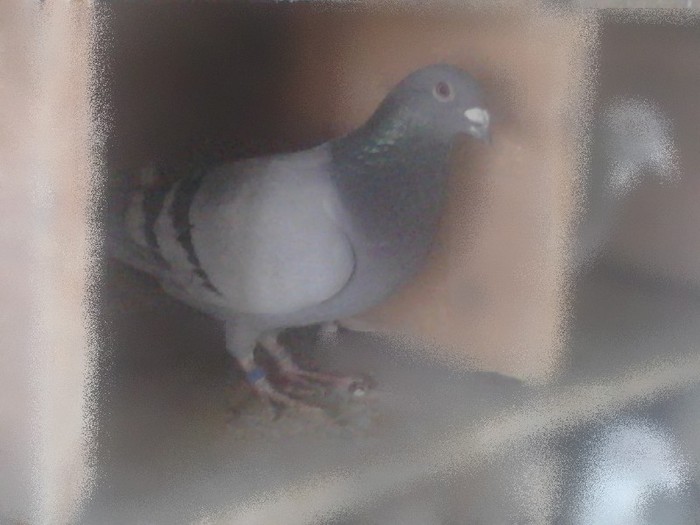 2013-01-06 13.54.38