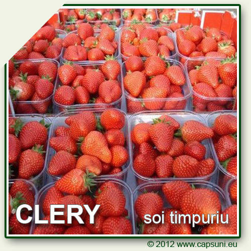 CLERY_04 - Clery