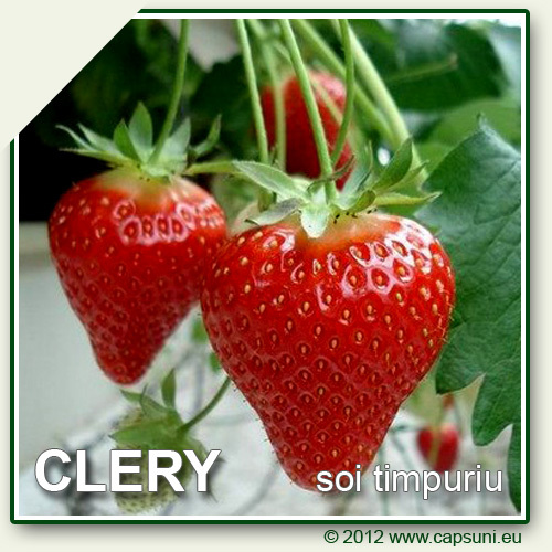 CLERY_05 - Clery