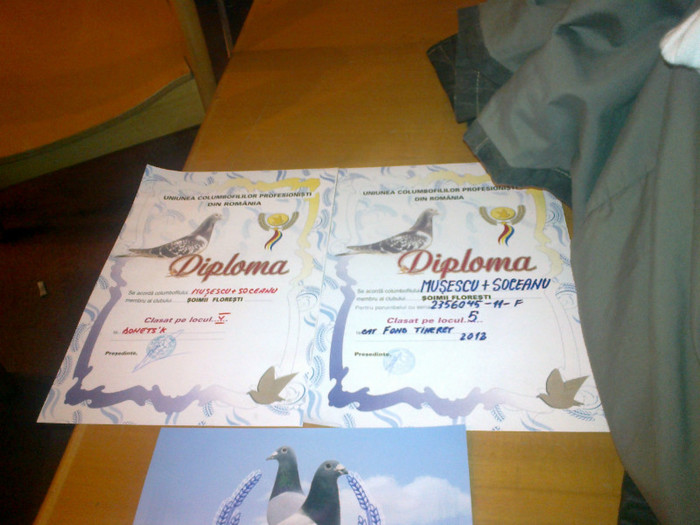 diplome