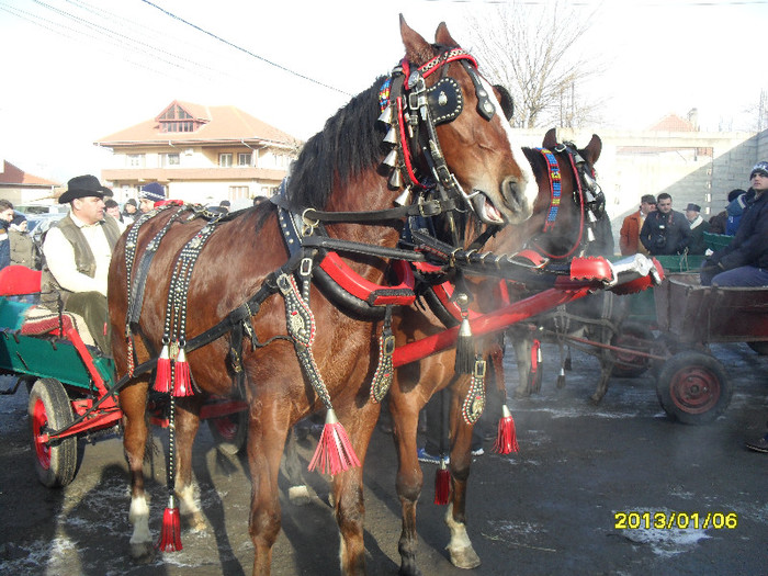 SAM_1984 - botezul cailor 2013