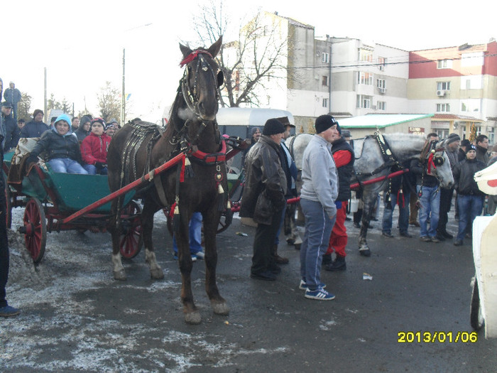 SAM_2003 - botezul cailor 2013