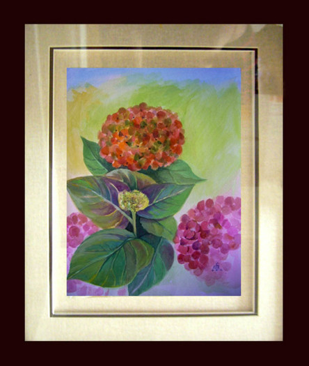Hydrangeas5_a_rama