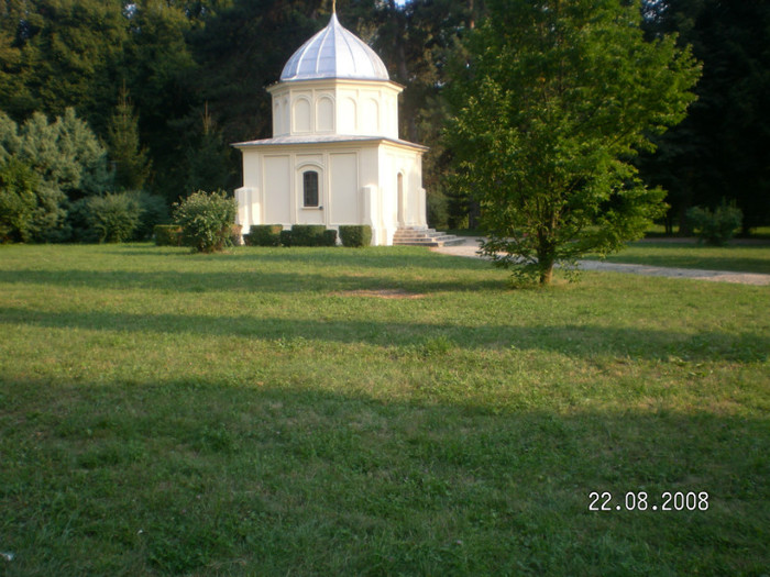 SANY0441