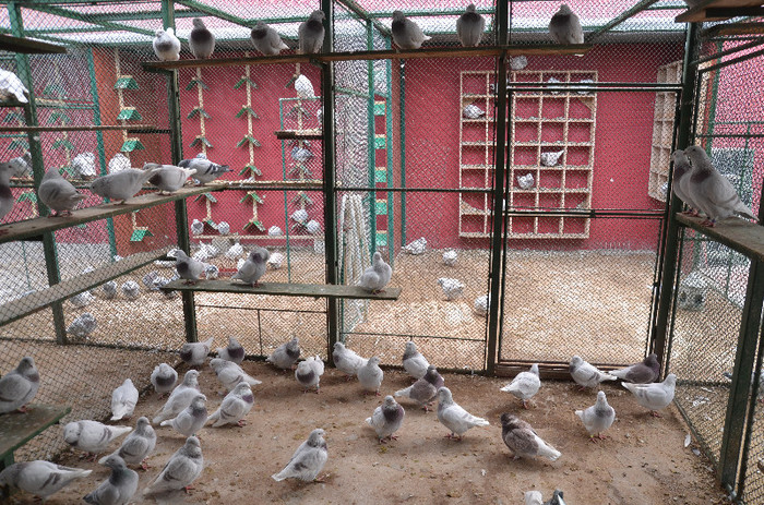 Picture 344