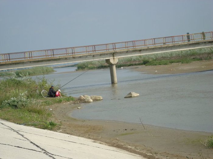 Oltetul-zona semisalbatica - Locul unde am copilarit