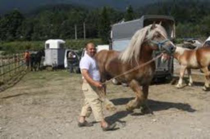 60 - CAII ANIMALE INDRAGITE DE MINE