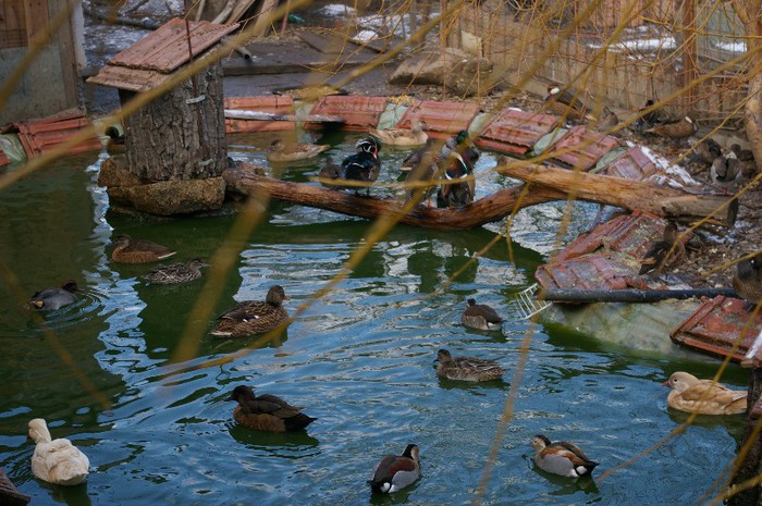 la scaldat dupa topirea zapezii