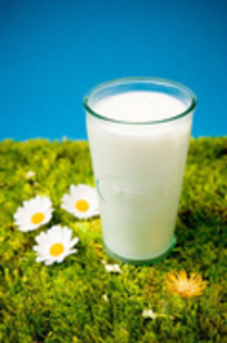 SeleMadalina02 - Laptele potrivit pentru tine