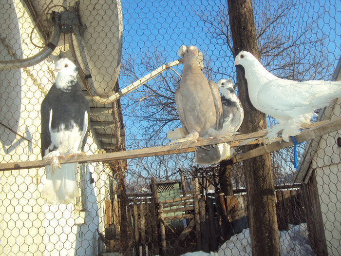 DSC01581 - JDB