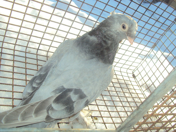 DSC01590 - JDB