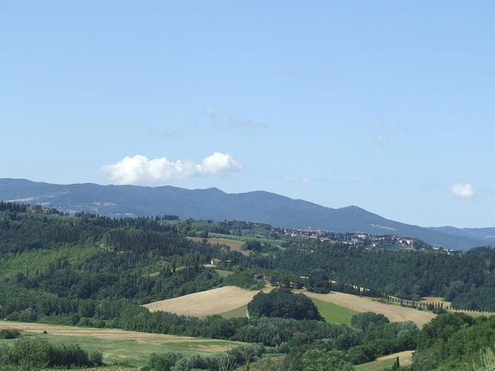 DSCF5541 - Toscana ITALIA