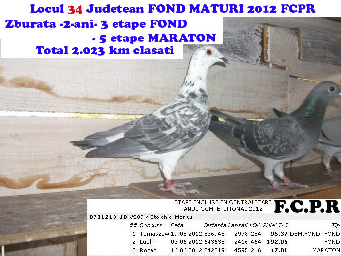 82507475_RUKKCBJBR; Loc 2321 fond in catalogul National F.C.P.R. 2012
