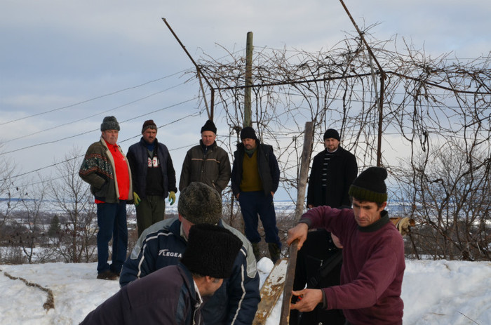 DSC_1874 - Crucea de gheata 2013