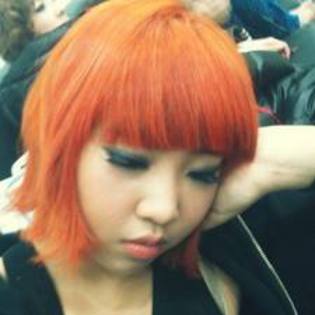  - Zz-2ne1