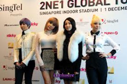  - Zz-2ne1