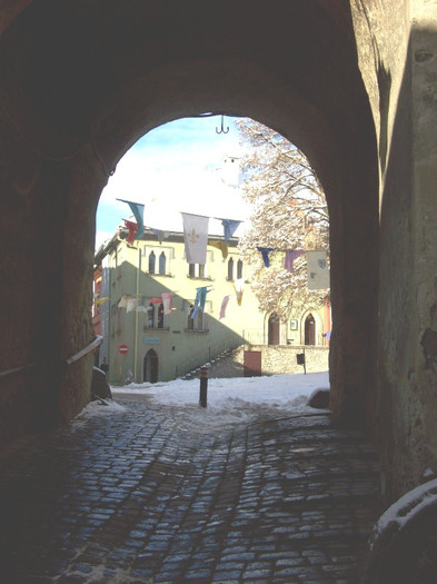 100_3940 - SIGHISOARA 07 IANUARIE 2013