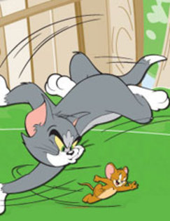 Dar uneori nu ne intelegem.Tom ma fugareste aproape in fiecare zi. - Viata lui Tom si Jerry