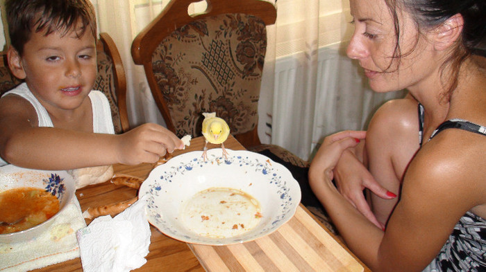 canarul malinois cel mai bland