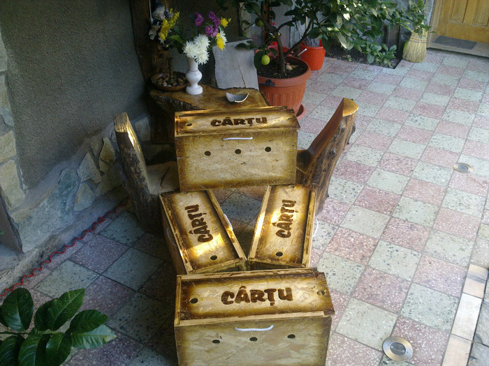 Cartu