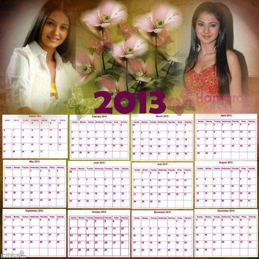 saraanesha - Cine vrea calendar 2013
