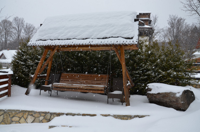 ninge - Ianuarie 2013