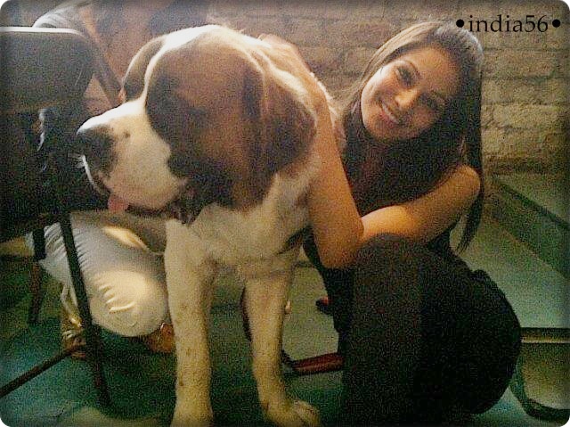 :*:*:*:x:x:x:x:*:*:*:*