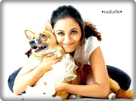 :*:*:*:x:x:x:x:*:*:*:*