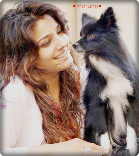 :*:*:*:x:x:x:x:*:*:*:*