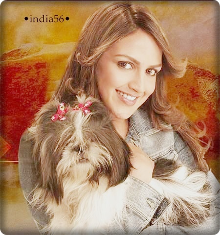 :*:*:*:x:x:x:x:*:*:*:*