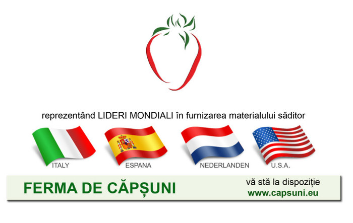 capsuni - CAPSUNI