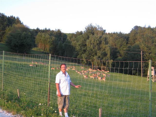 de vanzare caprioare in romania