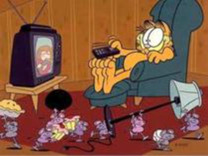 si sa ma uit la televizor. - Viata lui Garfield