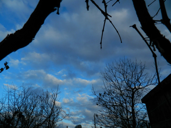 DSCN4001