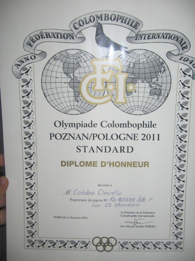 diploma de la olimpiada - rezultate