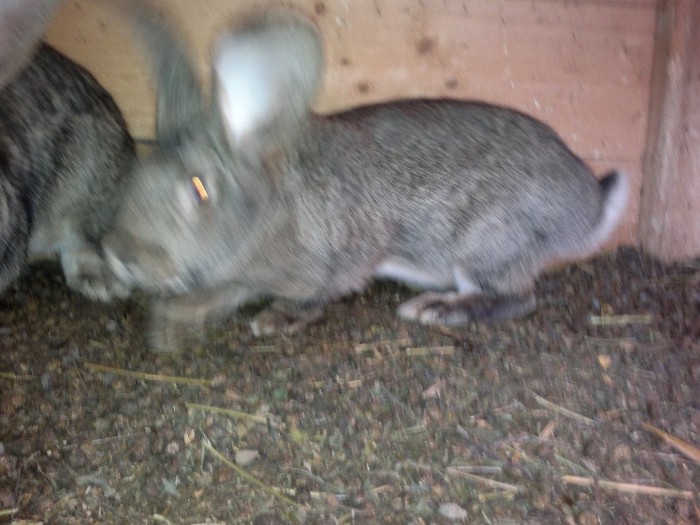 09012013230 - Copy - Copy - Copy - Copy