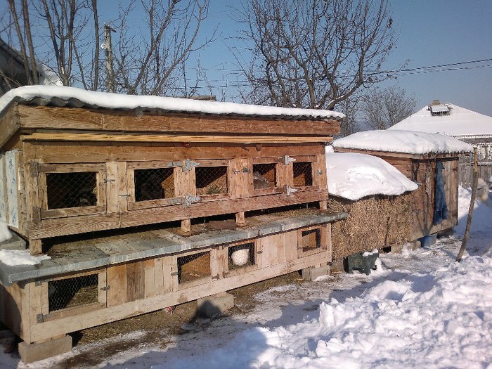 09012013233 - Copy - Copy - Copy