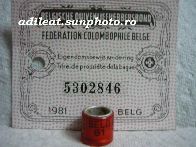 BELGIA-1981 - BELGIA-ring collection